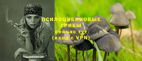 2c-b Козельск