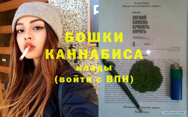 2c-b Козельск