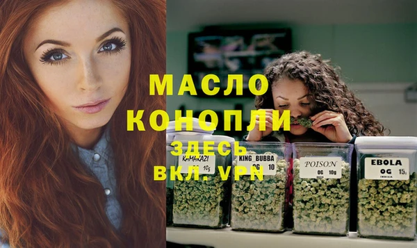 крисы Козловка