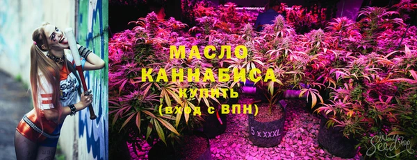 2c-b Козельск
