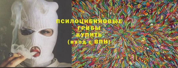 крисы Козловка