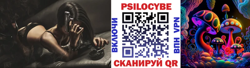Псилоцибиновые грибы Psilocybine cubensis  Купить где  Иланский 