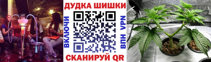 Конопля Bruce Banner  Купить  Иланский 
